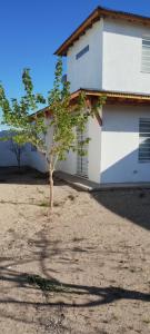 Departamentos Caracol