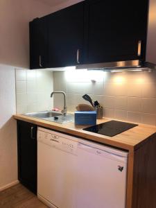 Résidence Les Horizons dHuez - maeva Home - Appartement 2 pièces 4 personnes Sélection MAE-3559