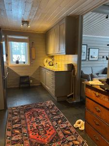 Charming and cozy cabin in Geilo