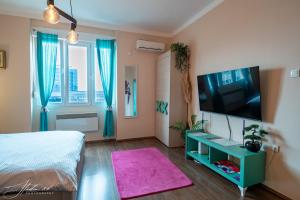 Spacious Studio in Pedestrian Zone Belgrade