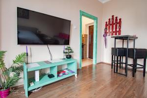 Spacious Studio in Pedestrian Zone Belgrade