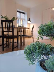 Luxurious 2 bedroom apartment near Jomfru Ane Gade