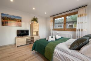 Apartament Biały Potok #1