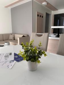 Floating House - MARINA PEARL