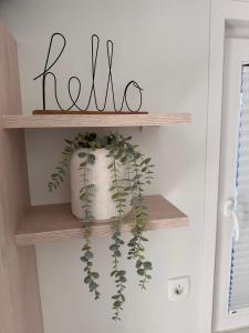 Floating House - MARINA PEARL