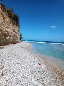 Local vacation beach house