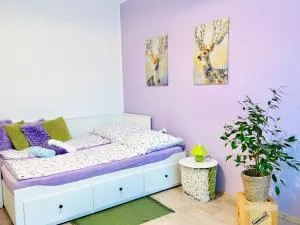 Garsonka ve Dvoře - Velehrádek