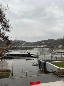 Rheinpanorama Suite mit Balkon