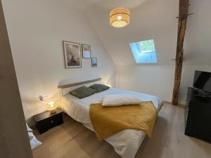 Maisons de vacances Les Gites de La Pellerie - 20 personnes - piscines interieure & exterieure et Jacuzzi - 3 gites : photos des chambres