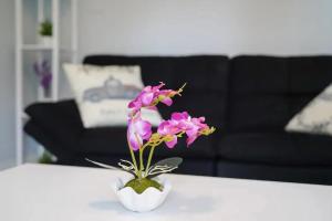 Private Suite near Busch Gardens Adventure Island USF and I-275