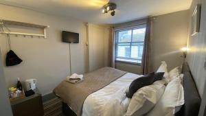 EI8HT Brighton Guest Accommodation