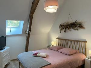 Maisons de vacances Les Gites de La Pellerie - 20 personnes - piscines interieure & exterieure et Jacuzzi - 3 gites : photos des chambres