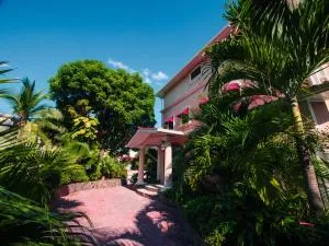 Casa Caracol Suites - 埃尔巴列德安通