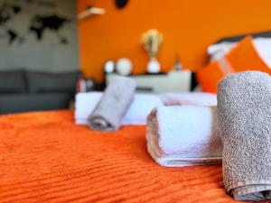 Apartament Książęca Góra