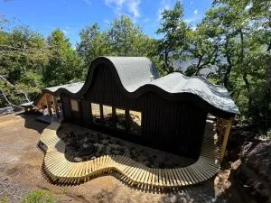 Conguillio Lava Cave - 孔吉利奥