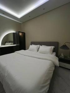 استديو فاخر امام البوليفارد مشياً