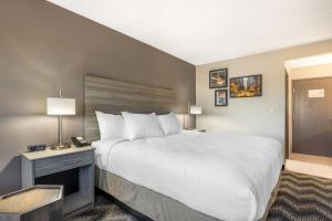 1 King Bed, Nonsmoking, Accessible, Roll-In Shower room in Best Western Plus Bolingbrook