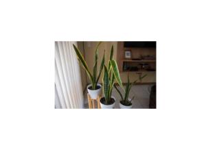 Departamento excelente ubicación en Ciudad con cochera