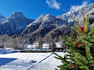 Pension Baranekhof - closest to the Kitzsteinhorn Ski Resort