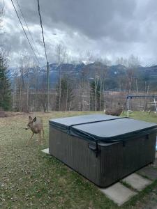 Nells Mountain Lodge - Arcade Hottub Fire Pit 5 Acres