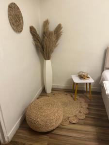 Cosy flat downtown french institute view