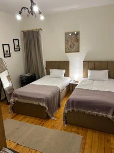 Cosy flat downtown french institute view