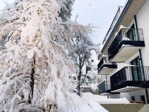 Lukasfeld 9 Top Lisi