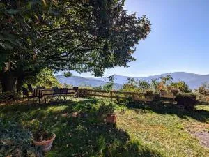 Gîte rural Vosges, 6 pers., WiFi, parking, vélos bienvenue - FR-1-589-760 - 比桑