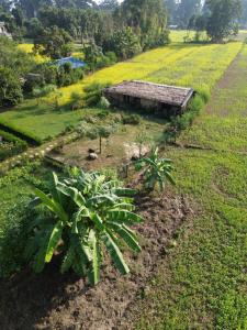 Bardiya Eco Safary Homestay