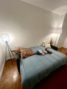 Magnifique appartement Paris 11ème