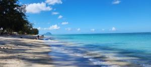 Driftwood Beach Apartment "oasis in paradise"