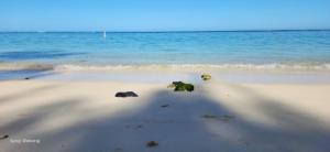 Driftwood Beach Apartment "oasis in paradise"