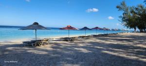 Driftwood Beach Apartment "oasis in paradise"