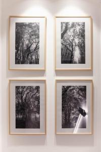 Terra Hotel Boutique