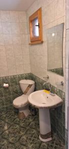 Студио Вили