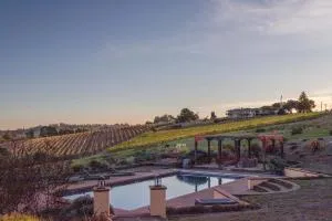 5 Acre Villa Retreat with Vineyard Pool Spa & Amazing Views of Sonoma County - جينر