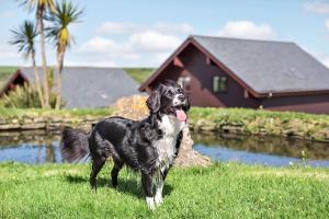 Lux Hot Tub Lodge, Retallack nr Padstow and Newquay