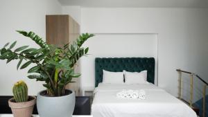 DUPLEX BELLE VIEW SINAIA-free parking