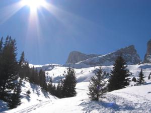 Appartements Le Devoluy, appartement pour 6 avec balcon : photos des chambres