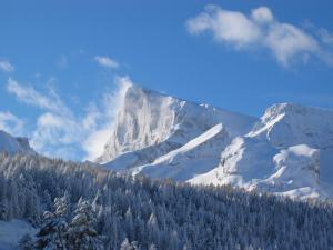 Appartements Le Devoluy, appartement pour 6 avec balcon : photos des chambres