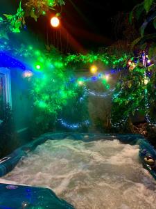APARTAMENT Solny z JACUZZI SPA