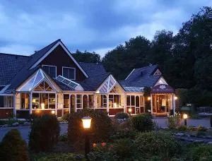 德斯帕班克霍夫酒店 - 霍赫芬