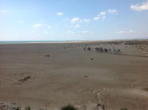 Superbe appartement vue mer et Pyrénées - Ayguades AY110-R06