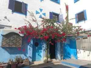 Habibi Hostel