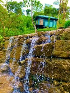 Mist of sinharaja eco lodge - Nelluwa