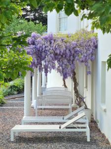 The Woodbridge Waterfront Rooms