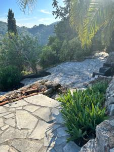 Maisons de vacances Maison provencale de vacances - Les Aloes : photos des chambres