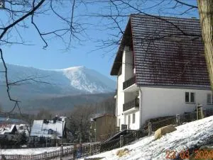 Willa Ari - Ściegny