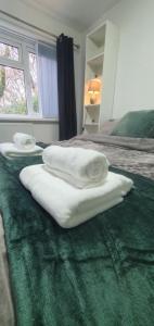 The Coral Suite - 2 Bedroom Apartment with 5G Wi-Fi in Lakeside, Cardiff minutes from Roath Park Lake