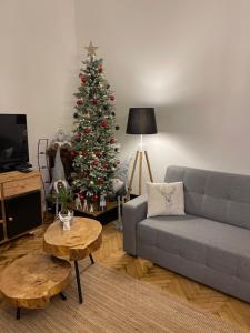 Piotrkowska2828 apartament.